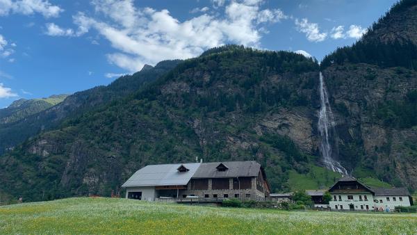 Bild 1 von 4: .