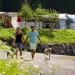Verrückt nach Camping