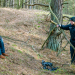 Friedhof der Welpen - Der Usedom-Krimi