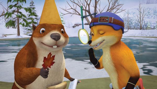 Bild 1 von 4: Biber und Fuchs verfolgen Franklins Spur.
© KiKA/Nelvana Limited/Infinite Frameworks Pte Ltd. - Honorarfreie Verwendung gemäß AGB im redaktionellen Zusammenhang mit genannter Sendung bei Nennung \