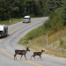 Alaska Highway