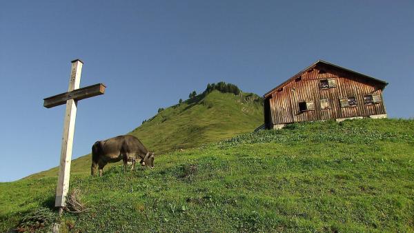 Bild 1 von 3: Im Bild: