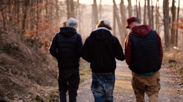 Bild 1 von 3: 