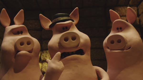 Bild 1 von 4: Die Schweine überfallen die Schafe und vertreiben sie von den Heuballen.