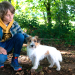 Tiere bis unters Dach
