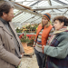 Bild 16