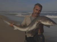 Giganten unter Wasser - Riesenfischen auf der Spur