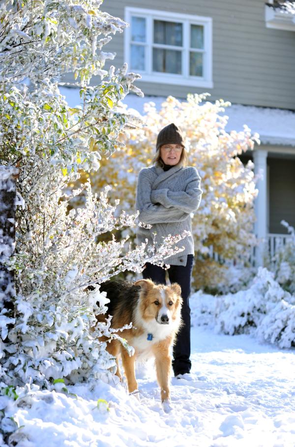 Bild 1 von 6: Beth (Diane Keaton) und ihr Hund Freeway spüren im winterlichen Garten kleinen Tieren nach.