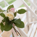 Hochzeit auf den ersten Blick