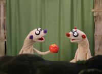 Jan & Henry - Die Fragenforscher