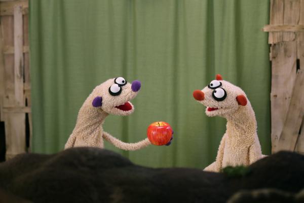 Bild 1 von 3: Jan und Henry rätseln, ob sich ein Ohrwurm auch in einem Apfel verstecken kann.