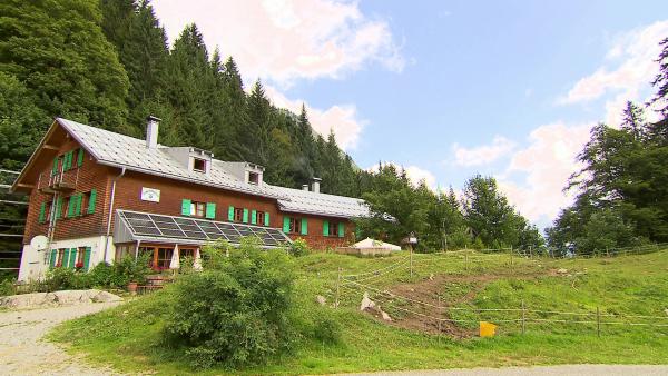 Bild 1 von 1: .