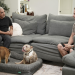 Cesar Millan: Better Human Better Dog - Bessere Menschen, bessere Hunde