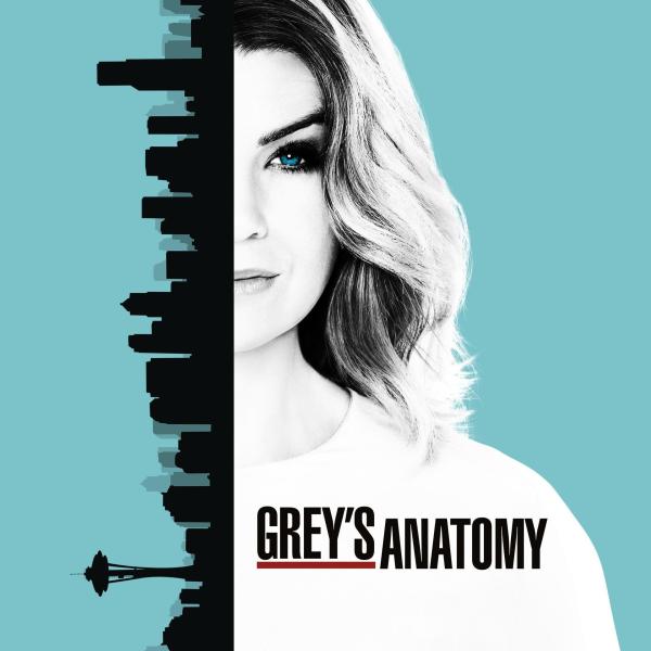Bild 1 von 30: (13. Staffel) - Neues aus dem Leben von Meredith Grey (Ellen Pompeo) und dem Seattle Grace Hospital ...