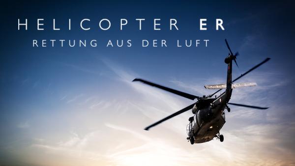 Bild 1 von 1: Logo