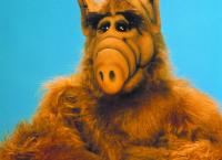 Alf