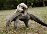 Paraguays unbekannte Schätze