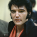 Die sieben Leben des Elvis Presley