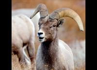 Unbekanntes Kalifornien