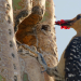 Abenteuer Wildnis