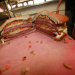 Man vs Food Nation