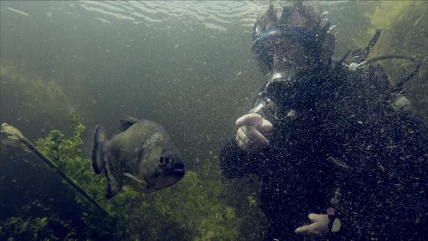Bild 1 von 6: .