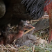 Abenteuer Wildnis