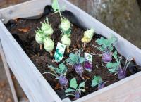 besseresser Kids: Lege packt s an