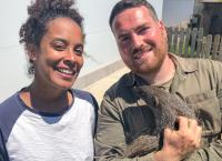 Pia und die wilden Tiere