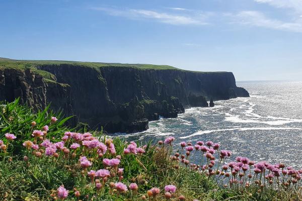 Bild 1 von 3: Die Brandung des rauen Atlantiks formt stetig die steilen Küsten im Norden derInsel, die zum Wahrzeichen Irlands gehören.