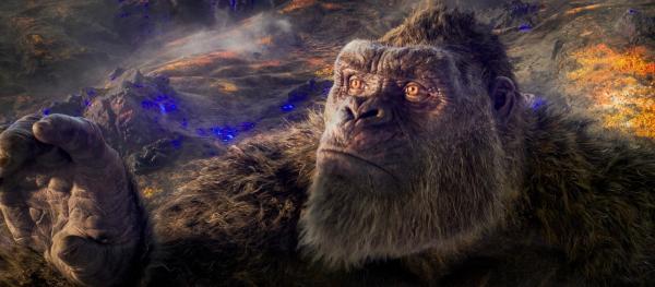 Bild 1 von 19: Godzilla vs. Kong