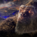Godzilla vs. Kong