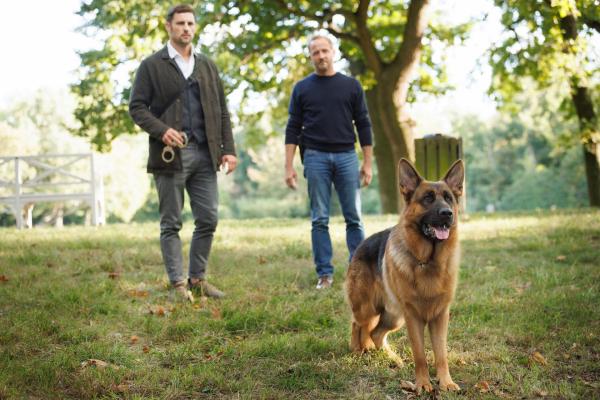 Bild 1 von 13: Rex