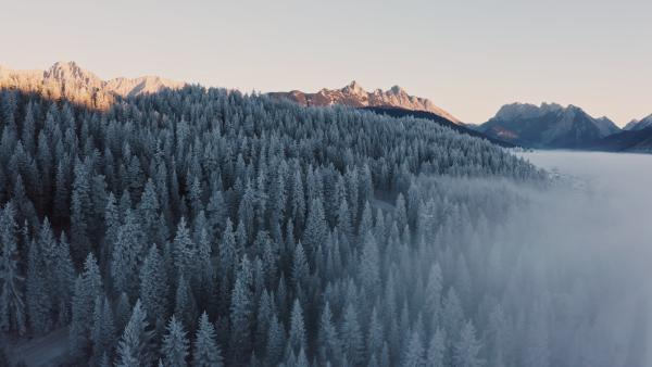 Bild 1 von 11: An manchen Tagen, wenn die Konstellation aus Temperatur und Luftfeuchtigkeit günstig zueinander stehen, legt sich sich Raureif über das Alpenvorland. Ein kurzweiliges Märchenland ist die Folge.