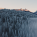 Sanfte Berge, wilde Moore - Das Alpenvorland