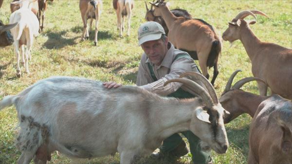 Bild 1 von 5: Reiko Wöllert von der Arbeitsgemeinschaft bäuerliche Landwirtschaft kämpft gegen Landgrabbing durch Großinvestoren in Ostdeutschland.