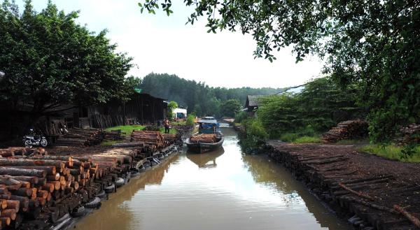 Bild 1 von 5: Familien Business Holzkohle: Täglich fahren Köhler mit Booten zur Mangrovenholz- Ernte. Der Wald wurde extra dafür angelegt. Rund 30 Familien leben in Kuala Sepetang an der Westküste Malaysias von der Holzkohle.