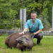 Der Doktor und die wilden Tiere XL