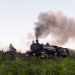 Auf den Schienen des Doppeladlers - Aufbruch ins Eisenbahnzeitalter