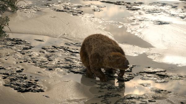 Bild 1 von 1: Riesenfaultiere, hier eine Animation, waren zur Eiszeit in ganz Nord- und Südamerika verbreitet.