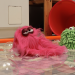 Wisch & Mop