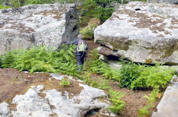 Bild 1 von 6: Seit über 40 Jahren erforscht der Geologe Médard Thiry den Sandstein im Wald von Fontainebleau.