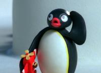 Pingu