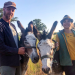 Anna und die wilde Herde