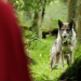 Gudrun die Wikingerprinzessin