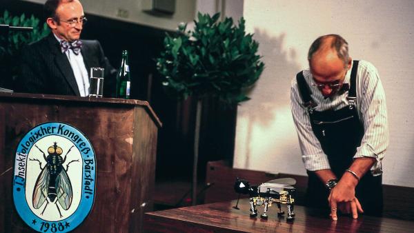 Bild 1 von 1: Ob es Peter (Peter Lustig) gelingt, den faszinierenden Landeflug von Fliegen zu filmen?