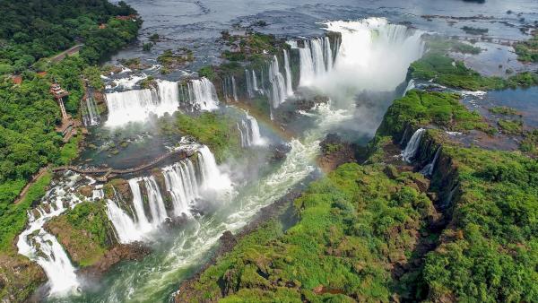 Bild 1 von 1: Die Wasserfälle von Iguazú sind das Zuhause der seltenen Rußsegler, die hinter den tosenden Wassermassen nisten.