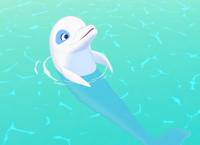 Zoom - Der weiße Delfin