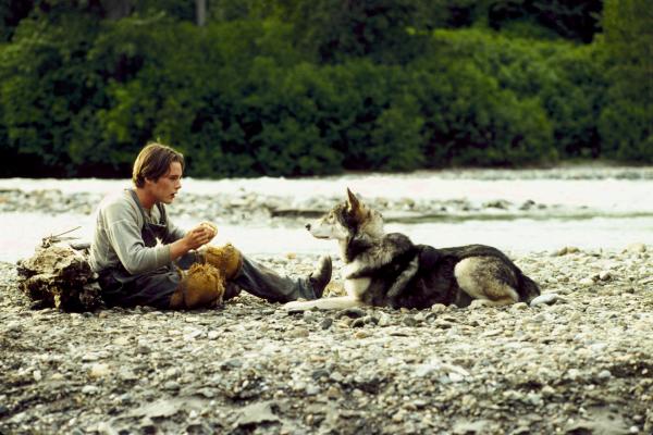 Bild 1 von 9: Die Wildnis Alaskas ist die pittoreske Kulisse dieser abenteuerlichen Geschichte von Jack, der auf der Suche nach seinem Vater \