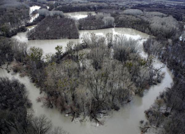 Bild 1 von 13: Donauauen im Winter.